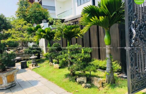 GTH Garden – BT anh Châu – Euro 2 (1)