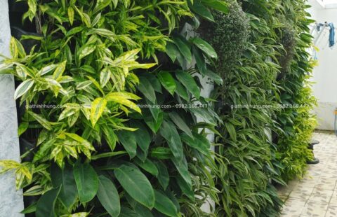 GTH Garden – BT anh Châu – Euro 2 (11)