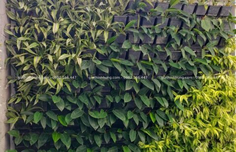 GTH Garden – BT anh Châu – Euro 2 (3)