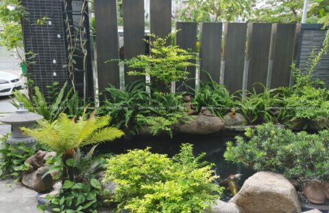 GTH Garden – BT anh Châu – Euro 2 (8)