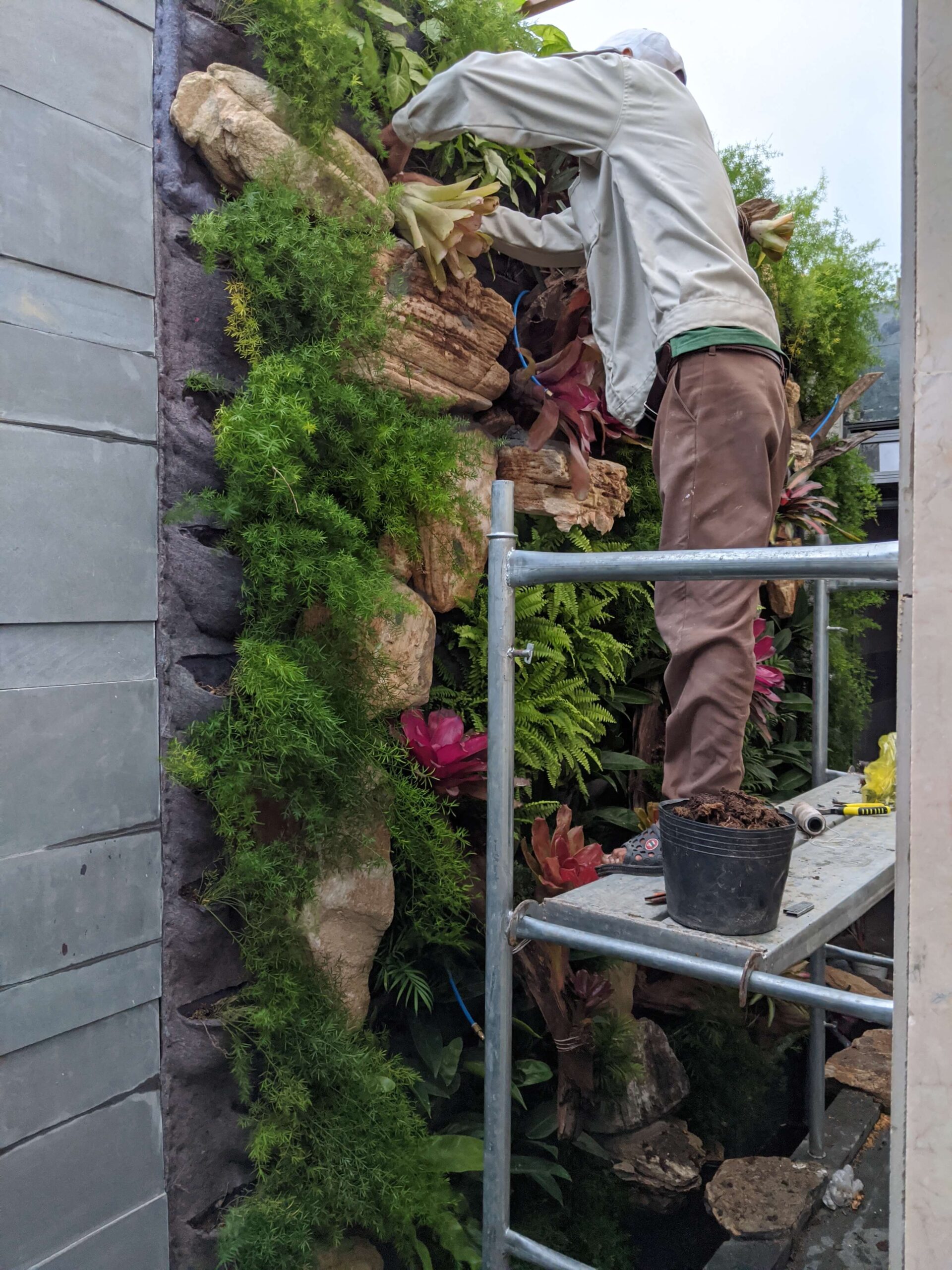 Thi công hồ cá Koi và tường cây thác nước