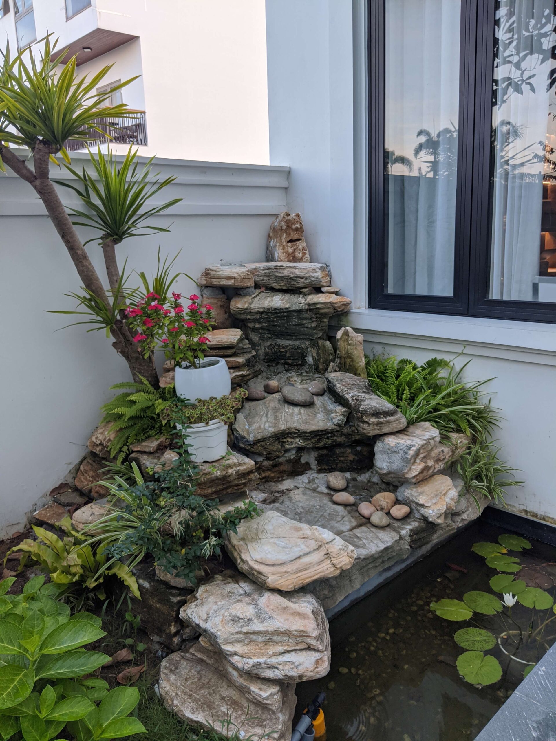 Thi công hồ cá Koi và tường cây thác nước