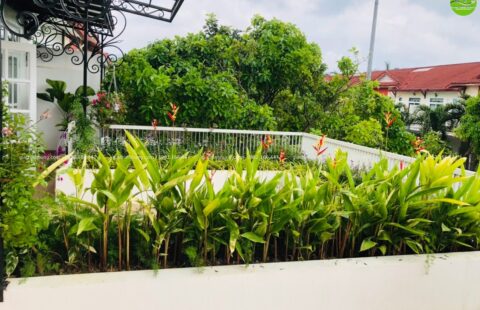 GTH Garden – Biệt thự tư nhân – Phúc Lộc Viên (6)