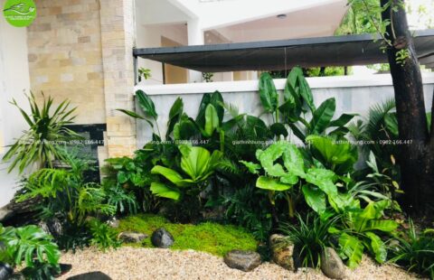 Gia Thịnh Hưng – BT chị Vy – Phúc Lộc Viên – 11