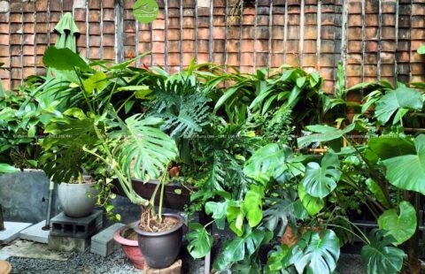 Gia Thịnh Hưng – Nhà hàng chay Sangha – Hoàng Văn Thụ – 10