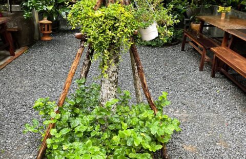 Gia Thịnh Hưng – Nhà hàng chay Sangha – Hoàng Văn Thụ – 17