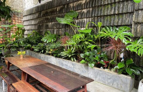 Gia Thịnh Hưng – Nhà hàng chay Sangha – Hoàng Văn Thụ – 18