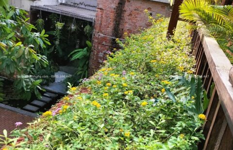 Gia Thịnh Hưng – Nhà hàng chay Sangha – Hoàng Văn Thụ – 20