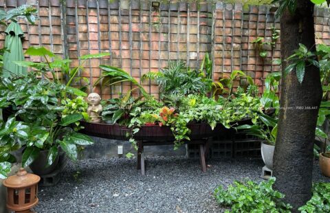Gia Thịnh Hưng – Nhà hàng chay Sangha – Hoàng Văn Thụ – 25