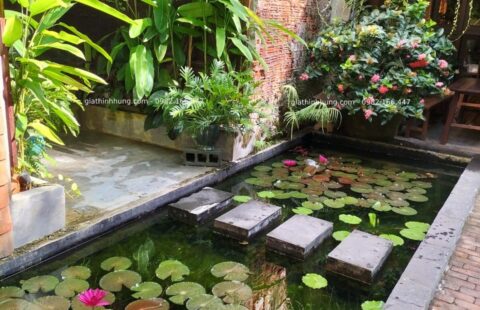 Gia Thịnh Hưng – Nhà hàng chay Sangha – Hoàng Văn Thụ – 5