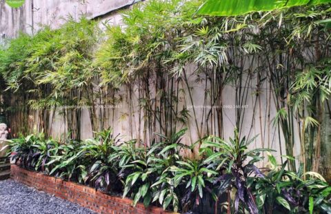 Gia Thịnh Hưng – Nhà hàng chay Sangha – Hoàng Văn Thụ – 6