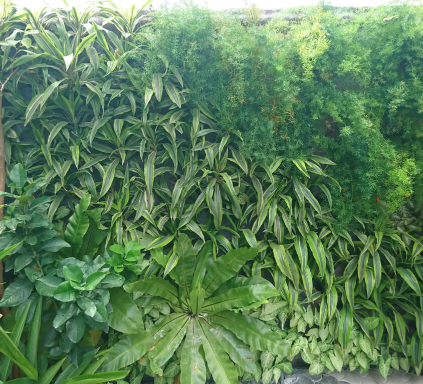 Biệt thự tư gia Đảo xanh