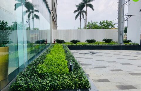 GTH Garden – Showroom Tiến Thu Tam Kỳ – Quảng Nam (1)