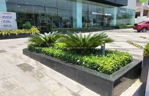 GTH Garden – Showroom Tiến Thu Tam Kỳ – Quảng Nam (10)