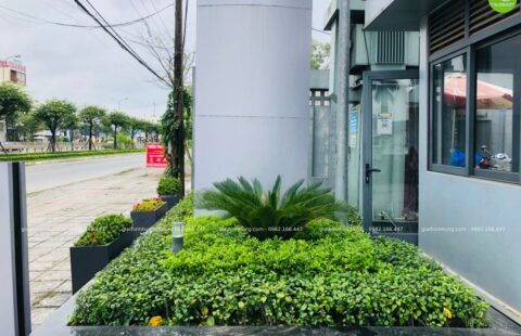 GTH Garden – Showroom Tiến Thu Tam Kỳ – Quảng Nam (3)