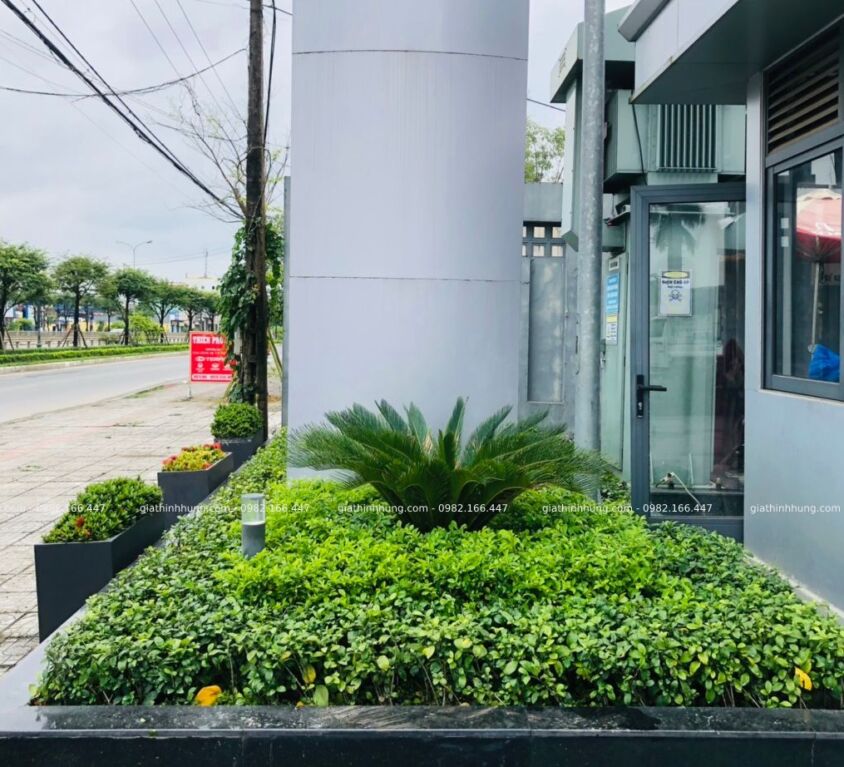 Showroom Tiến Thu, Tam Kỳ