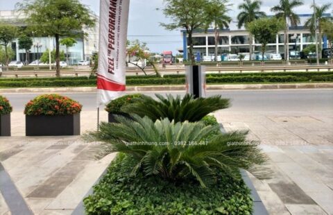 GTH Garden – Showroom Tiến Thu Tam Kỳ – Quảng Nam (6)