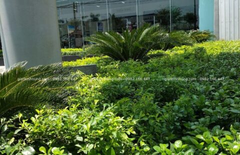 GTH Garden – Showroom Tiến Thu Tam Kỳ – Quảng Nam (9)