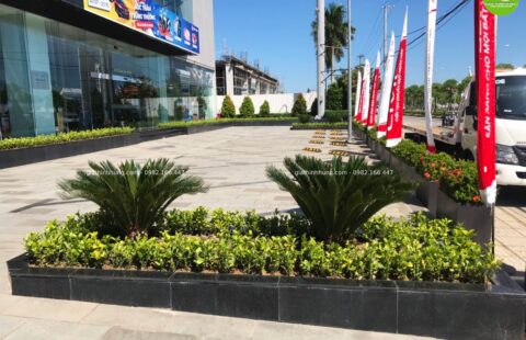 Gia Thịnh Hưng – Tiến Thu Tam Kỳ – Quảng Nam – 11