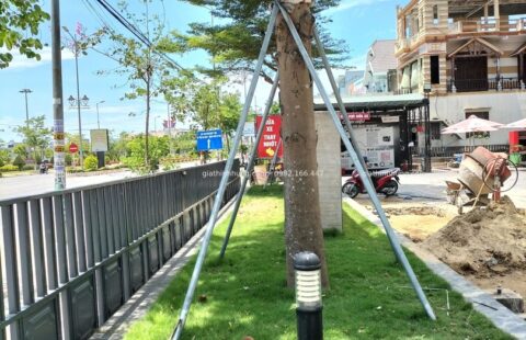 GTH Garden – Showroom Tiến Thu Vĩnh Điện – Quảng Nam (11)
