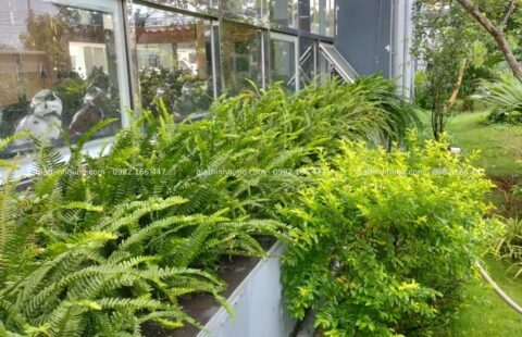 GTH Garden – Showroom Tiến Thu Vĩnh Điện – Quảng Nam (2)