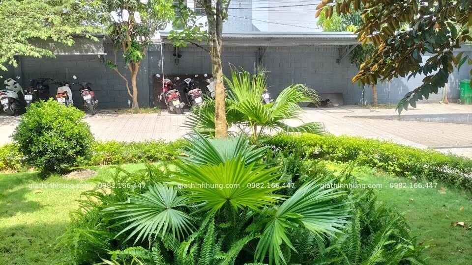 GTH Garden - Showroom Tiến Thu Vĩnh Điện - Quảng Nam (4)