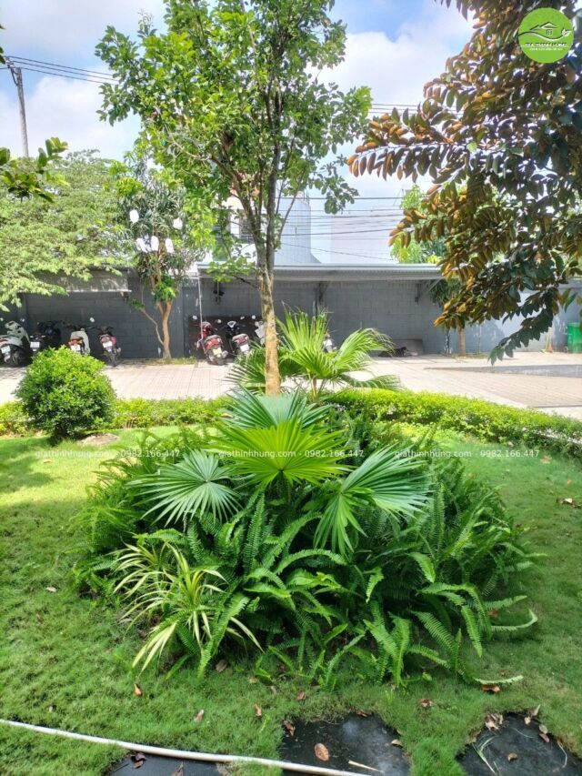 GTH Garden - Showroom Tiến Thu Vĩnh Điện - Quảng Nam (4)