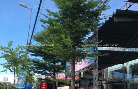 Gia Thịnh Hưng – Tiến Thu Vĩnh Điện – Quảng Nam – 1