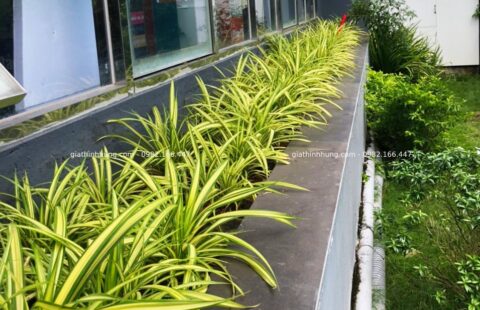 Gia Thịnh Hưng – Tiến Thu Vĩnh Điện – Quảng Nam – 2