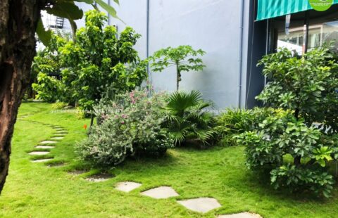 Gia Thịnh Hưng – Tiến Thu Vĩnh Điện – Quảng Nam – 3