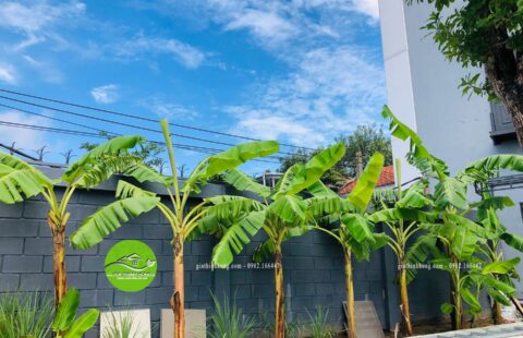 Gia Thịnh Hưng – Showroom Tiến Thu – Vĩnh Điện (11)