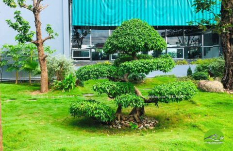 Gia Thịnh Hưng – Showroom Tiến Thu – Vĩnh Điện (15)