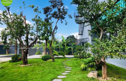 Gia Thịnh Hưng – Showroom Tiến Thu – Vĩnh Điện (4)