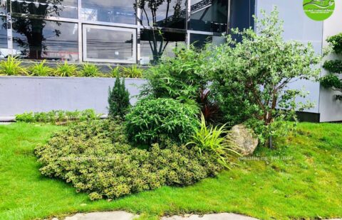 Gia Thịnh Hưng – Showroom Tiến Thu – Vĩnh Điện (5)