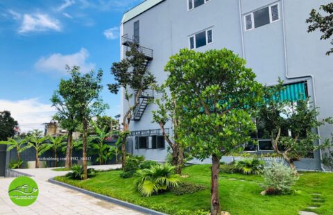 Gia Thịnh Hưng – Showroom Tiến Thu – Vĩnh Điện (7)