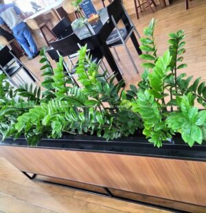 GTH Garden – Showroom Tiến Thu 1 – Ngũ Hành Sơn (1)