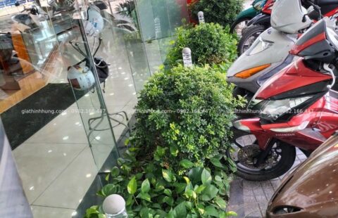 GTH Garden – Showroom Tiến Thu 1 – Ngũ Hành Sơn (8)