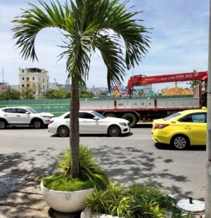 GTH Garden – Showroom Tiến Thu 1 – Ngũ Hành Sơn (9)