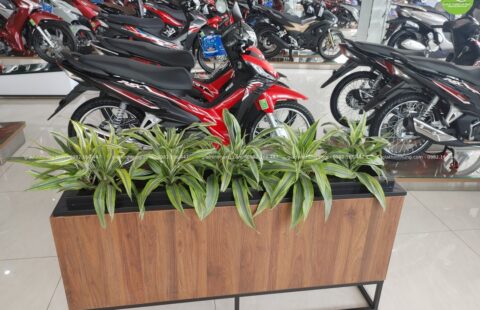 GTH Garden – Showroom Tiến Thu 4 – Phạm Hùng (12)