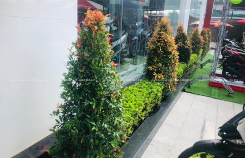 GTH Garden – Showroom Tiến Thu 4 – Phạm Hùng (2)