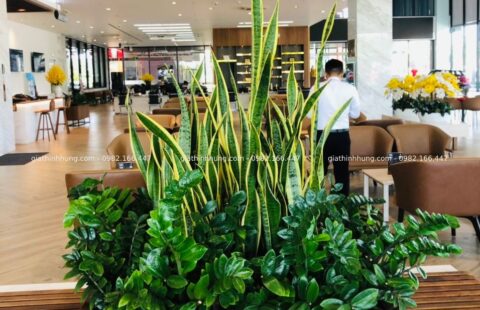 GTH Garden – Showroom Tiến Thu 4 – Phạm Hùng (4)