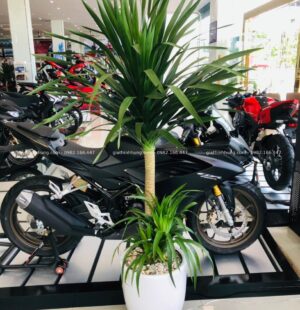 GTH Garden – Showroom Tiến Thu 4 – Phạm Hùng (6)