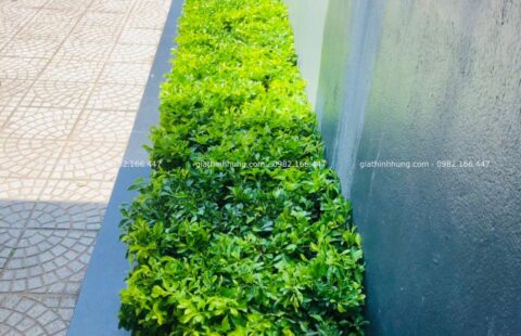 GTH Garden – Showroom Tiến Thu 4 – Phạm Hùng (7)