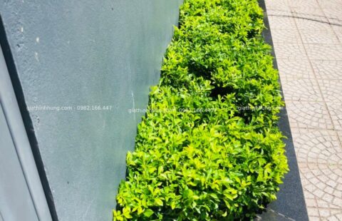 GTH Garden – Showroom Tiến Thu 4 – Phạm Hùng (9)