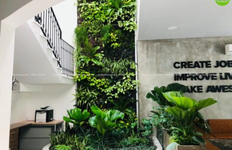 GTH Garden – VP Seadev – 33 An Thượng 33 (2)