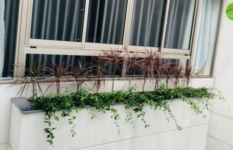 Gia Thinh Hưng – BT cô Châu – Nguyễn Viết Xuân – 10