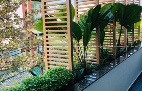 Gia Thinh Hưng – BT cô Châu – Nguyễn Viết Xuân – 2
