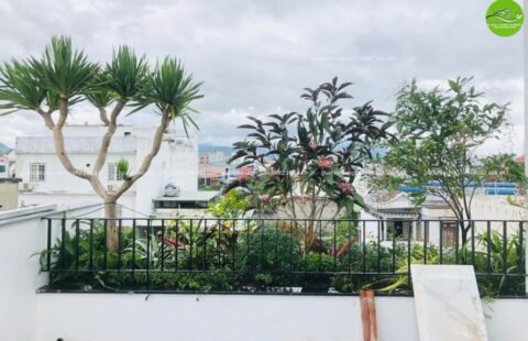 Gia Thinh Hưng – BT cô Châu – Nguyễn Viết Xuân – 3