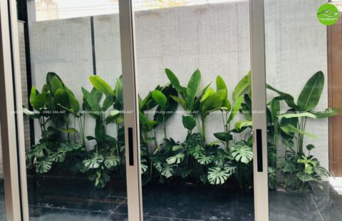 Gia Thinh Hưng – BT cô Châu – Nguyễn Viết Xuân – 4