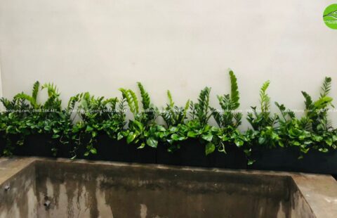 Gia Thinh Hưng – BT cô Châu – Nguyễn Viết Xuân – 5